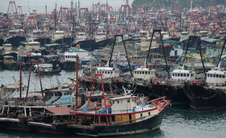 A large group of boats in a harbor
Description automatically generated
